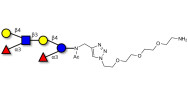 Lewis x (Lex) hexaose / Lacto-N-neodifucohexaose (LNnDFH) with free terminal amine (Linker-NH2 B)