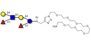 Lewis x (Lex) hexaose / Lacto-N-neodifucohexaose (LNnDFH) with free terminal amine (Linker-NH2 C)