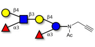 Lewis x (Lex) hexaose / Lacto-N-neodifucohexaose (LNnDFH) with terminal alkyne (Linker-CΞCH A)