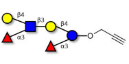 Lewis x (Lex) hexaose / Lacto-N-neodifucohexaose (LNnDFH) with terminal alkyne (Linker-CΞCH B)