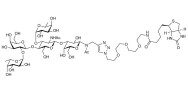 Lewis y (Ley) pentaose linked to biotin (Linker-BT A)