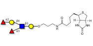 Lewis y (Ley) pentaose linked to biotin (Linker-BT B)