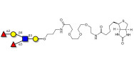 Lewis y (Ley) pentaose linked to biotin (Linker-BT C)