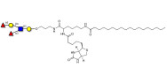 Lewis y (Ley) pentaose linked to biotin and stearic chain (Linker-BT-STEA A)