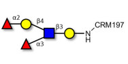 Lewis y (Ley) pentaose grafted on CRM197