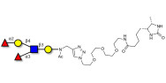 Lewis y (Ley) pentaose linked to desthiobiotin (Linker-DBT-A)