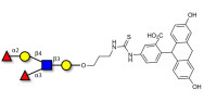 Lewis y (Ley) pentaose linked to fluorescein (Linker-FLUO A)