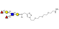 Lewis y (Ley) pentaose grafted on gel for affinity chromatography (Linker-GEL A)