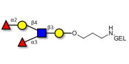 Lewis y (Ley) pentaose grafted on gel for affinity chromatography (Linker-GEL B)