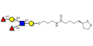 Lewis y (Ley) pentaose with cyclic di-thiol (Linker-LIPO A)