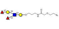 Lewis y (Ley) pentaose with terminal azide (Linker-N3 B)
