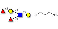 Lewis y (Ley) pentaose with free terminal amine (Linker-NH2 A)