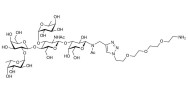 Lewis y (Ley) pentaose with free terminal amine (Linker-NH2 B)