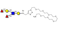 Lewis y (Ley) pentaose with free terminal amine (Linker-NH2 C)