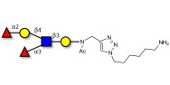Lewis y (Ley) pentaose with free terminal amine (Linker-NH2 D)