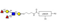 Lewis y (Ley) pentaose with customizable dual functionalization 
