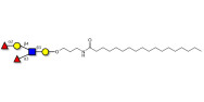 Lewis y (Ley) pentaose with stearic chain (Linker-STEA A)