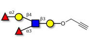 Lewis y (Ley) pentaose with terminal alkyne (Linker-CΞCH B)
