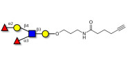 Lewis y (Ley) pentaose with terminal alkyne (Linker-CΞCH C)
