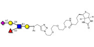 Sialyl Lewis x (sLex) pentaose linked to biotin (Linker-BT A)