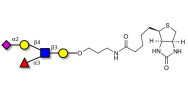 Sialyl Lewis x (sLex) pentaose linked to biotin (Linker-BT B)