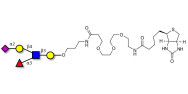 Sialyl Lewis x (sLex) pentaose linked to biotin (Linker-BT C)