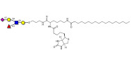 Sialyl Lewis x (sLex) pentaose linked to biotin and stearic chain (Linker-BT-STEA A)