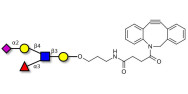 Sialyl Lewis x (sLex) pentaose with DBCO (Linker-DBCO A)