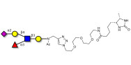 Sialyl Lewis x (sLex) pentaose linked to desthiobiotin (Linker-DBT-A)