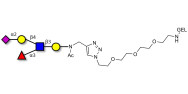 Sialyl Lewis x (sLex) pentaose grafted on gel for affinity chromatography (Linker-GEL A)