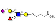 Sialyl Lewis x (sLex) pentaose grafted on gel for affinity chromatography (Linker-GEL B)