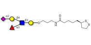 Sialyl Lewis x (sLex) pentaose with cyclic di-thiol (Linker-LIPO A)