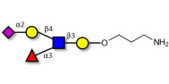 Sialyl Lewis x (sLex) pentaose with free terminal amine (Linker-NH2 A)