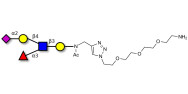 Sialyl Lewis x (sLex) pentaose with free terminal amine (Linker-NH2 B)
