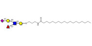 Sialyl Lewis x (sLex) pentaose with stearic chain (Linker-STEA A)