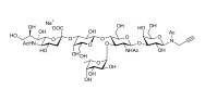 Sialyl Lewis x (sLex) pentaose with terminal alkyne (Linker-CΞCH A)