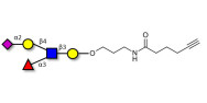 Sialyl Lewis x (sLex) pentaose with terminal alkyne (Linker-CΞCH C)