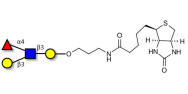 Lewis a (Lea) tetraose linked to biotin (Linker-BT B)