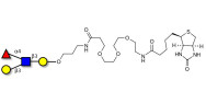 Lewis a (Lea) tetraose linked to biotin (Linker-BT C)