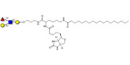 Lewis a (Lea) tetraose linked to biotin and stearic chain (Linker-BT-STEA A)