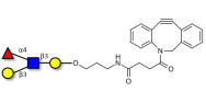 Lewis a (Lea) tetraose with DBCO (Linker-DBCO A)