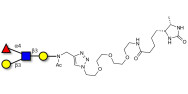 Lewis a (Lea) tetraose linked to desthiobiotin (Linker-DBT-A)