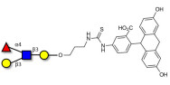 Lewis a (Lea) tetraose linked to fluorescein (Linker-FLUO A)