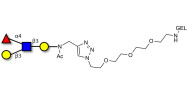 Lewis a (Lea) tetraose grafted on gel for affinity chromatography (Linker-GEL A)