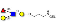 Lewis a (Lea) tetraose grafted on gel for affinity chromatography (Linker-GEL B)