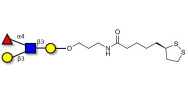 Lewis a (Lea) tetraose with cyclic di-thiol (Linker-LIPO A)