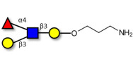Lewis a (Lea) tetraose with free terminal amine (Linker-NH2 A)