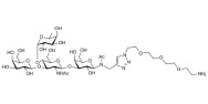 Lewis a (Lea) tetraose with free terminal amine (Linker-NH2 B)