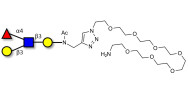 Lewis a (Lea) tetraose with free terminal amine (Linker-NH2 C)