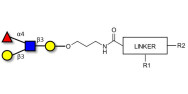 Lewis a (Lea) tetraose with customizable dual functionalization 